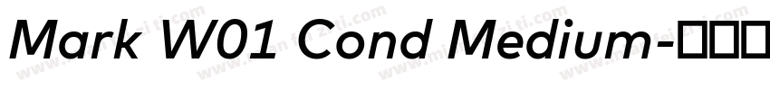 Mark W01 Cond Medium字体转换